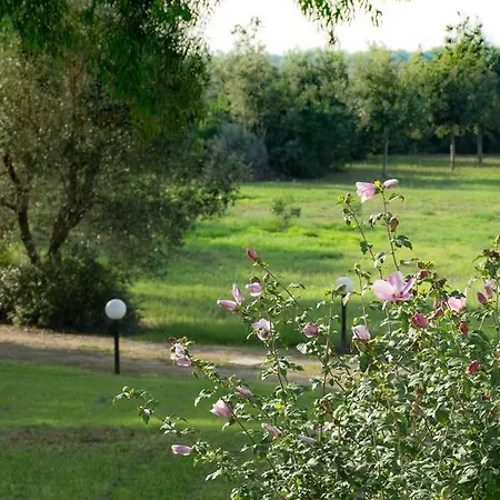 Tenuta Masseria Cocciolicchio