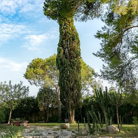Casa vacanze Tenuta Masseria Cocciolicchio