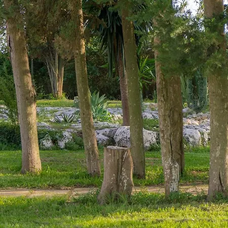 Casa vacanze Tenuta Masseria Cocciolicchio