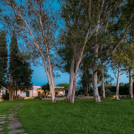 Tenuta Masseria Cocciolicchio