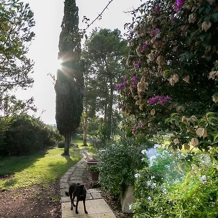 بيت للعطل Tenuta Masseria Cocciolicchio *