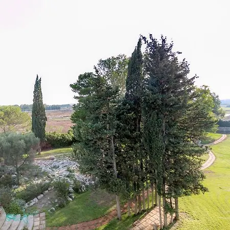Tenuta Masseria Cocciolicchio ليتشي