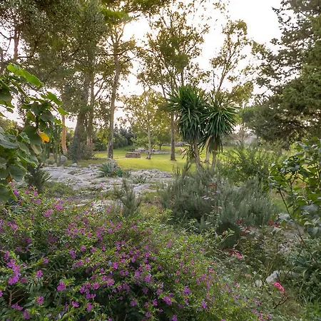 بيت للعطل Tenuta Masseria Cocciolicchio *
