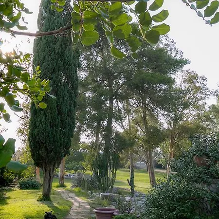 بيت للعطل Tenuta Masseria Cocciolicchio