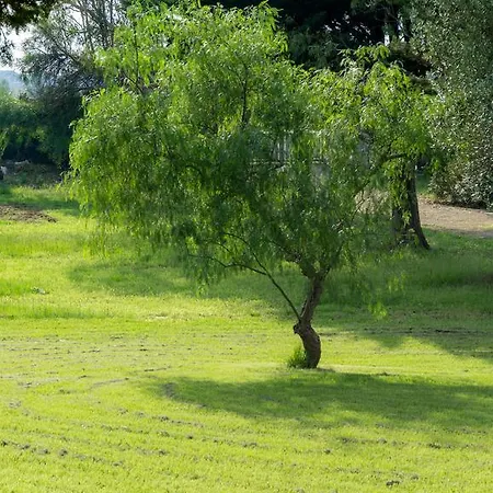 بيت للعطل Tenuta Masseria Cocciolicchio *