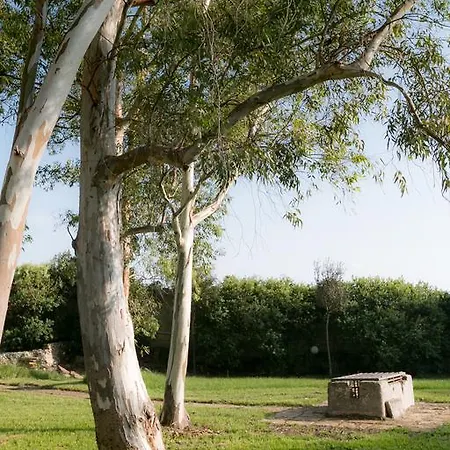 بيت للعطل Tenuta Masseria Cocciolicchio *