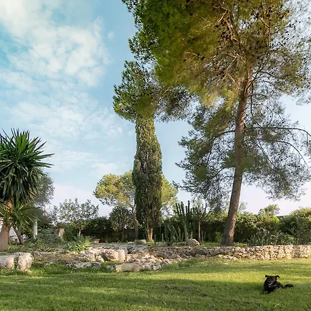بيت للعطل Tenuta Masseria Cocciolicchio