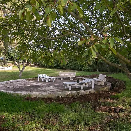 Tenuta Masseria Cocciolicchio