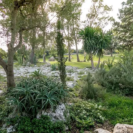 Tenuta Masseria Cocciolicchio