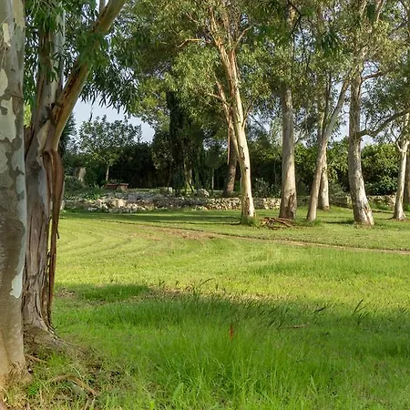 بيت للعطل Tenuta Masseria Cocciolicchio ليتشي