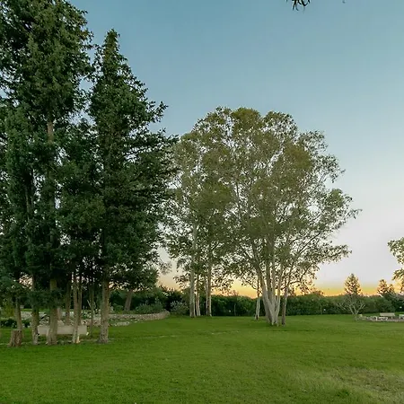 Tenuta Masseria Cocciolicchio