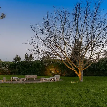 Tenuta Masseria Cocciolicchio *