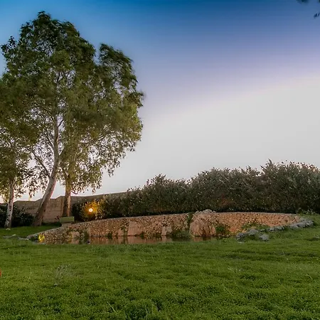 Tenuta Masseria Cocciolicchio