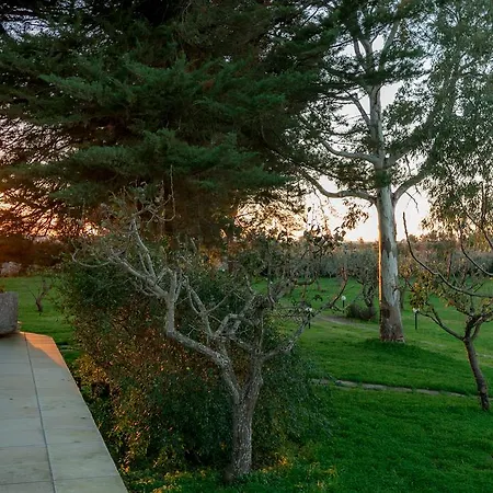 بيت للعطل Tenuta Masseria Cocciolicchio